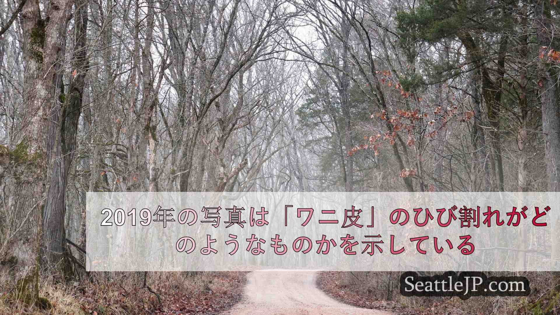 シアトルニュース SeattleJP