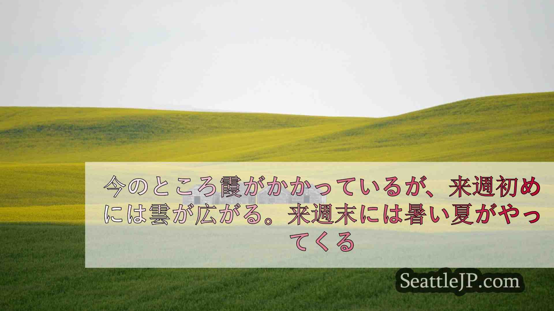 シアトルの天気： 霞がかかり、夏の気温が間近に迫っている。