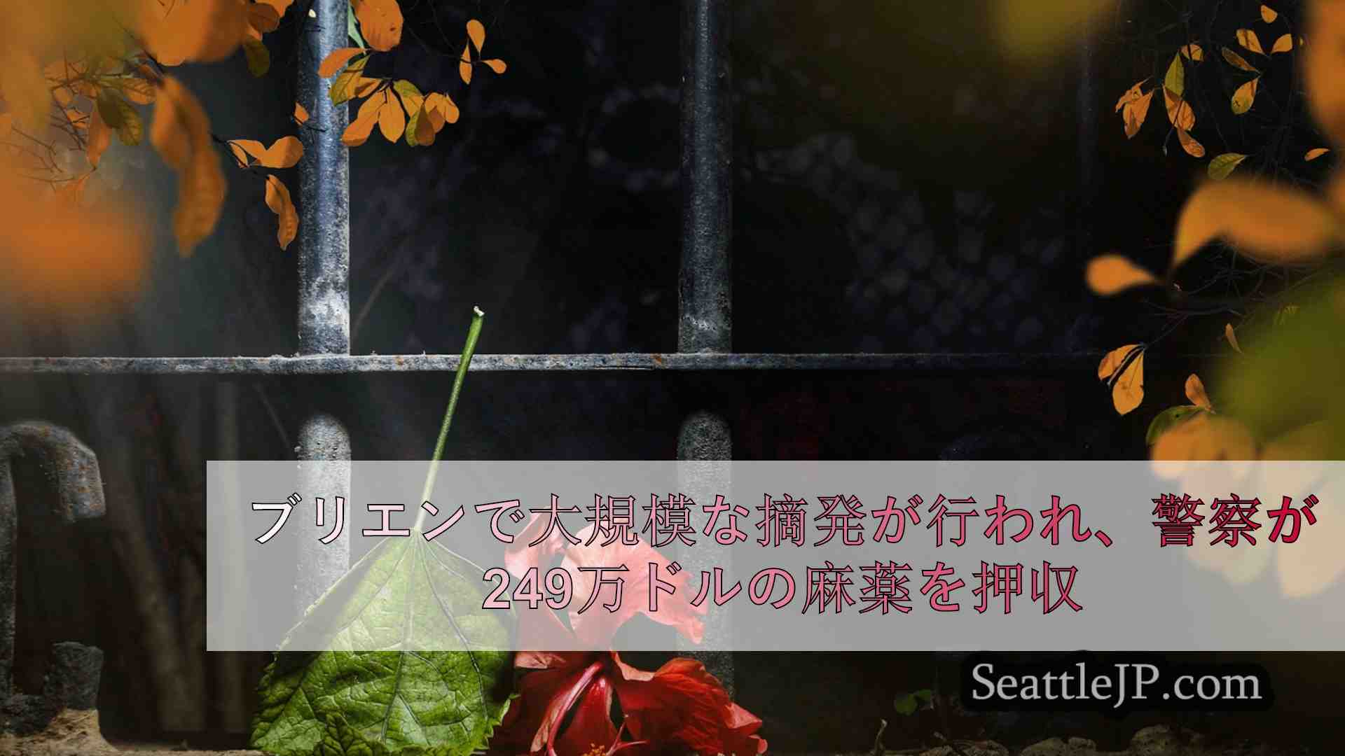 シアトルニュース SeattleJP