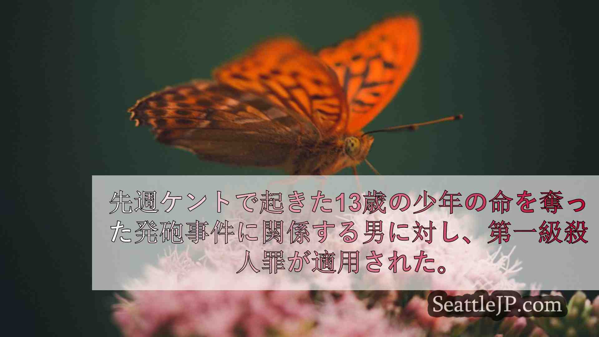 シアトルニュース SeattleJP