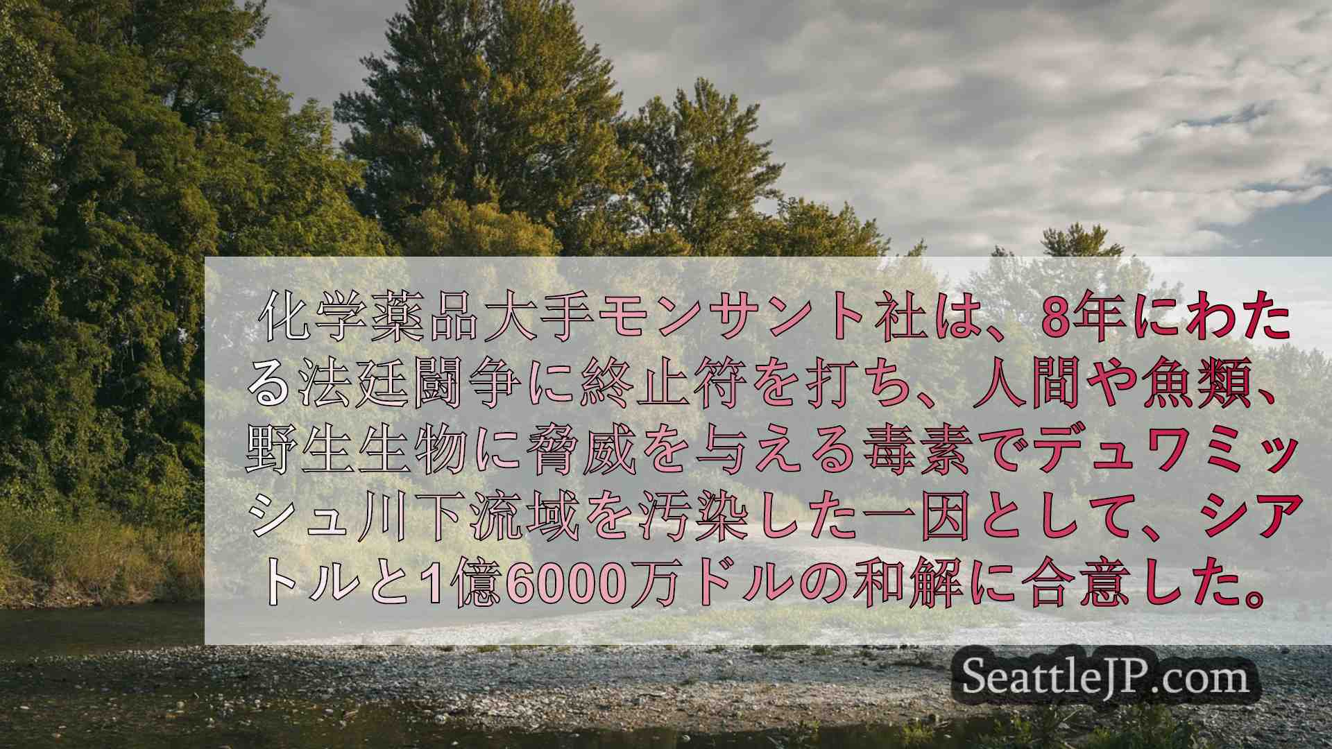 シアトルニュース SeattleJP