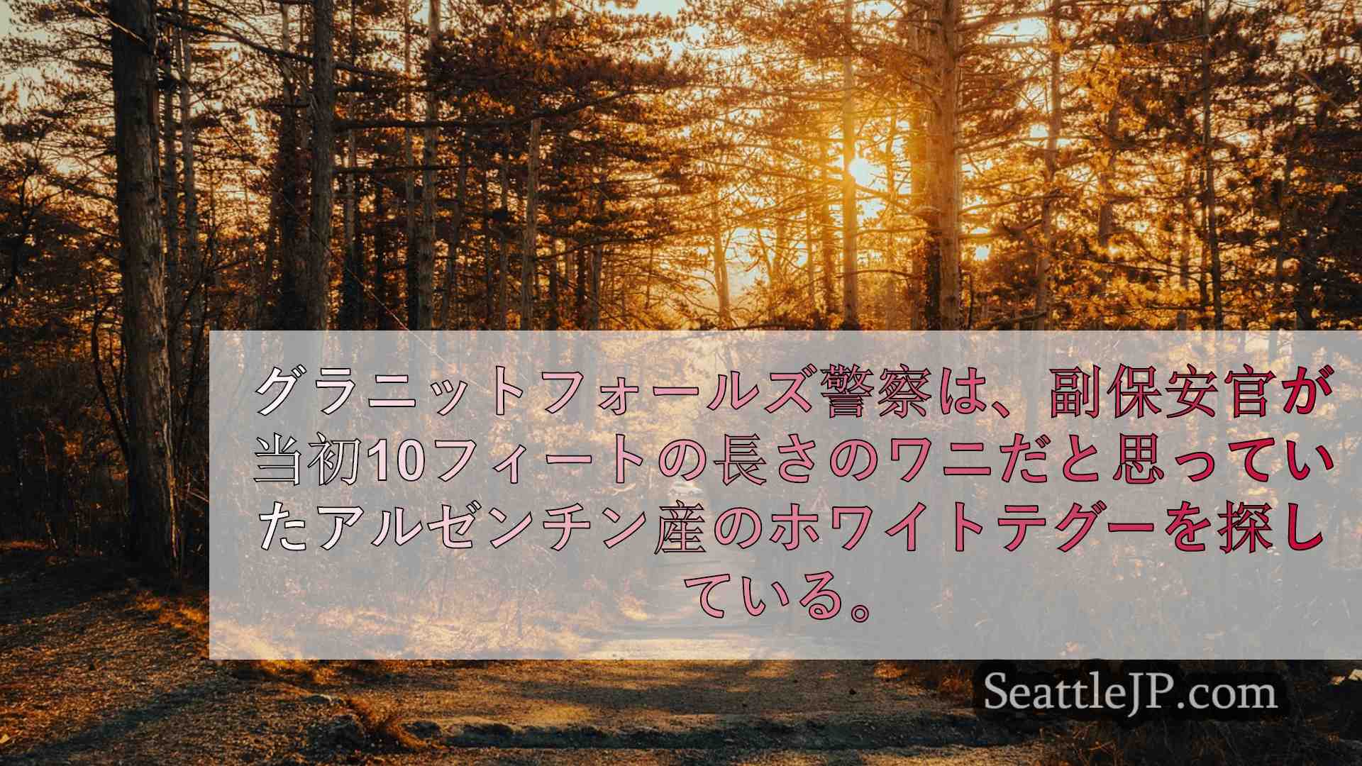 シアトルニュース SeattleJP