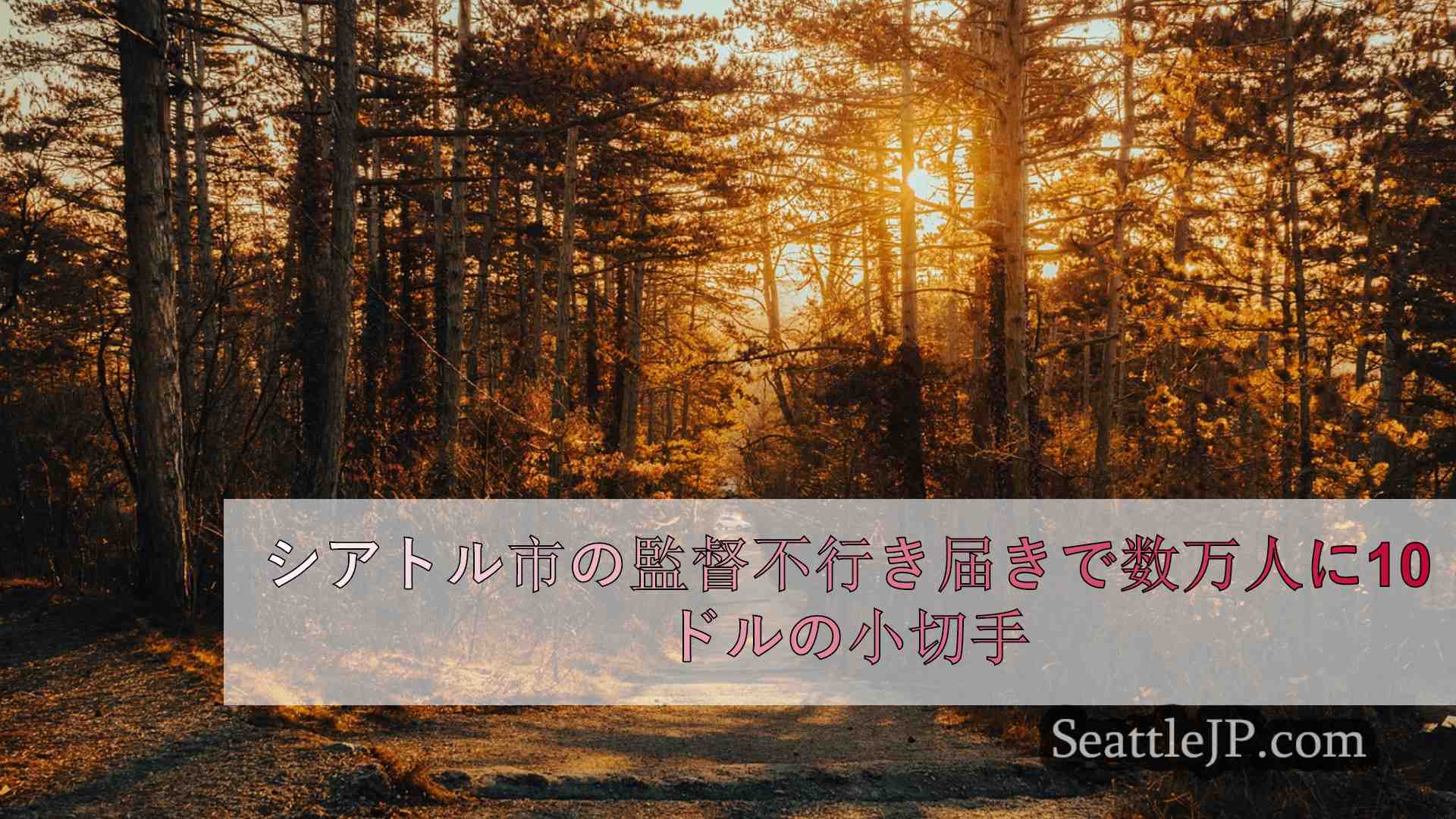 シアトルニュース SeattleJP