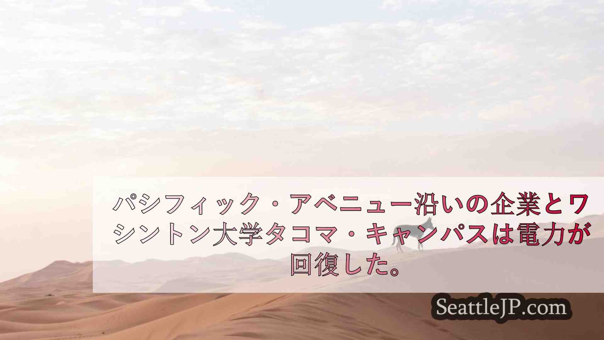 シアトルニュース SeattleJP