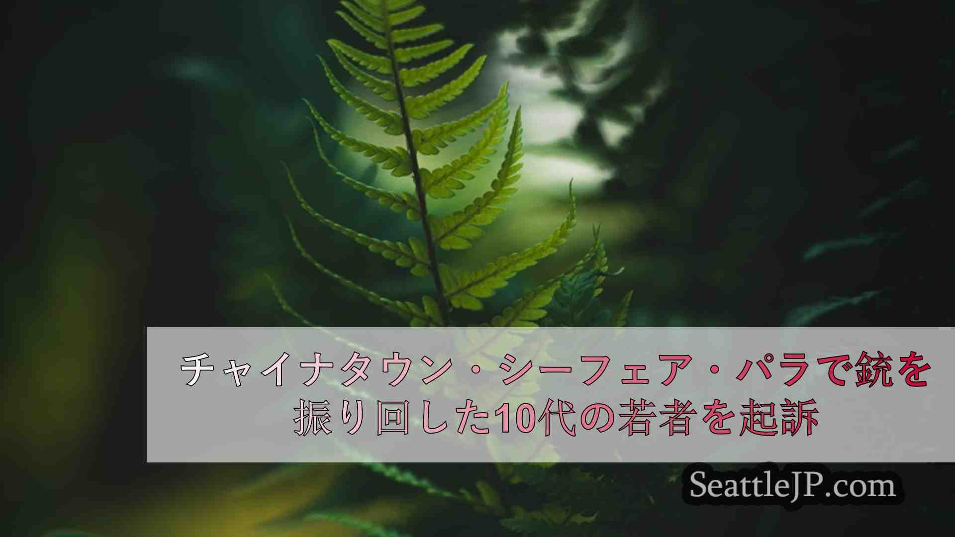 シアトルニュース SeattleJP