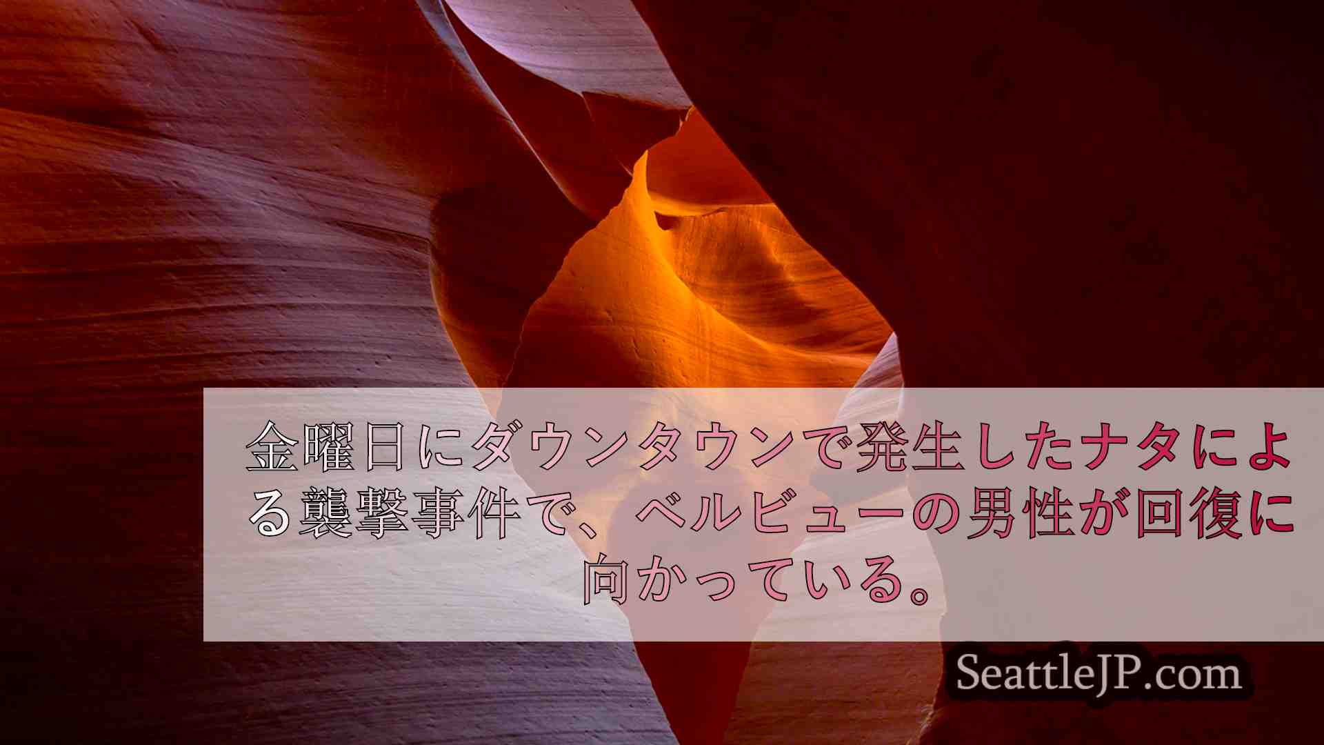 シアトルニュース SeattleJP