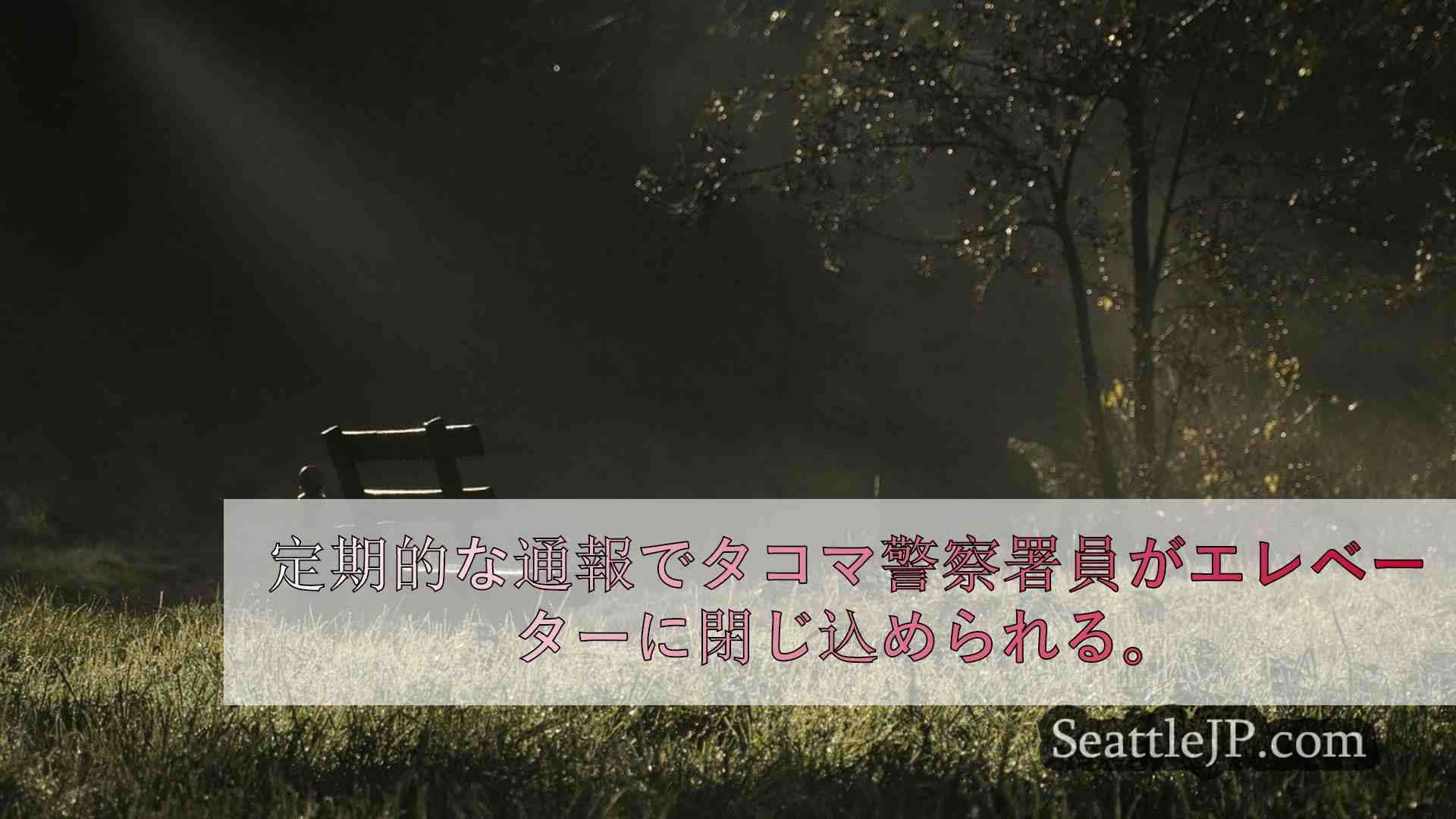 シアトルニュース SeattleJP