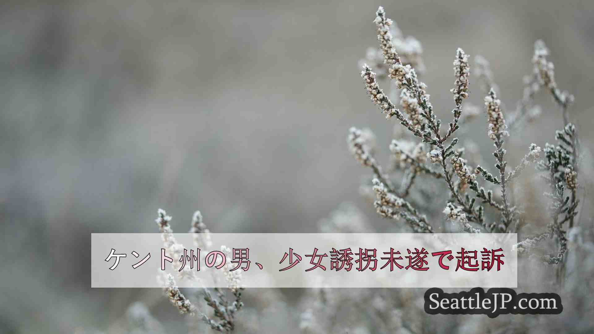 シアトルニュース SeattleJP