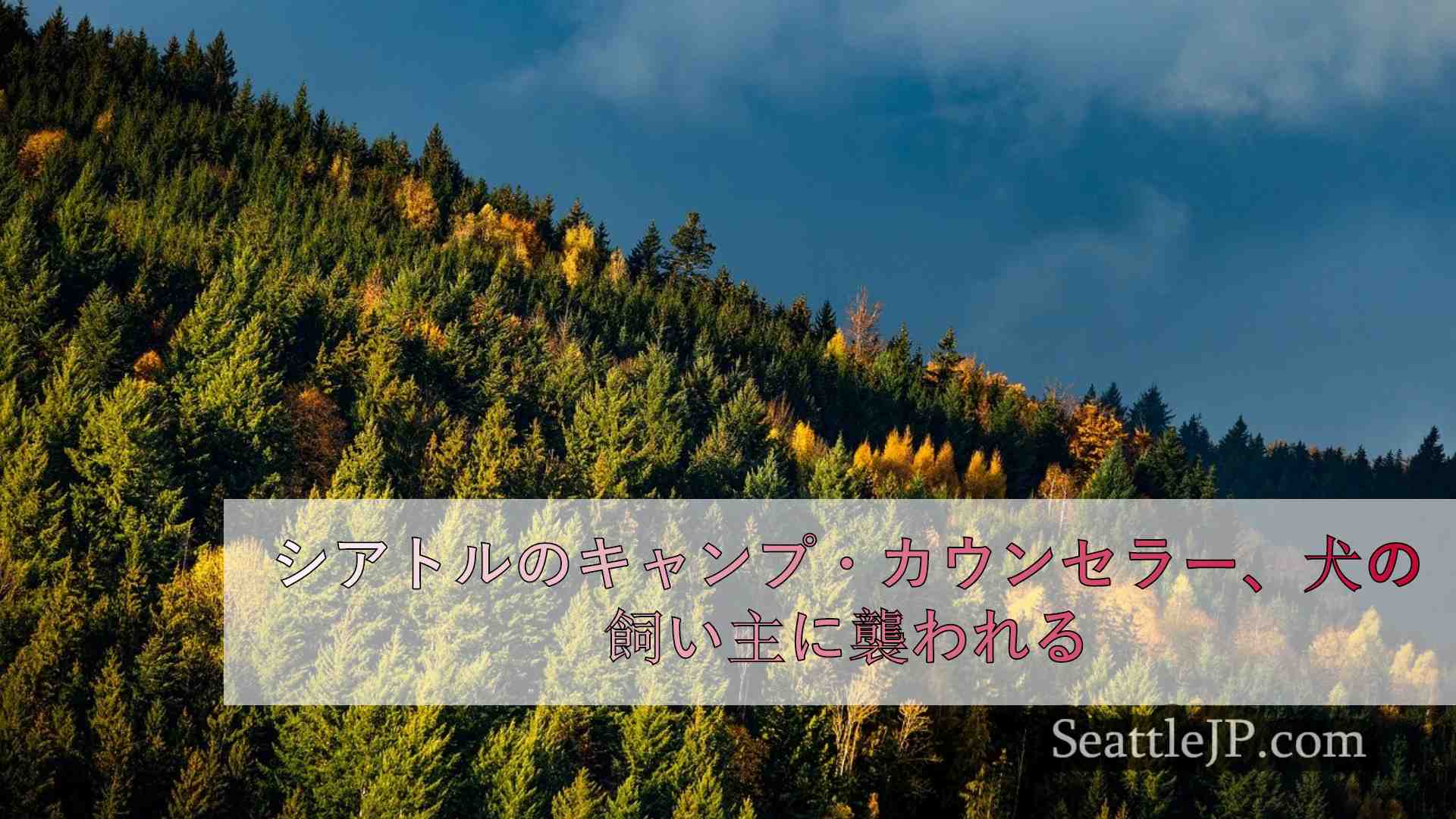 シアトルニュース SeattleJP