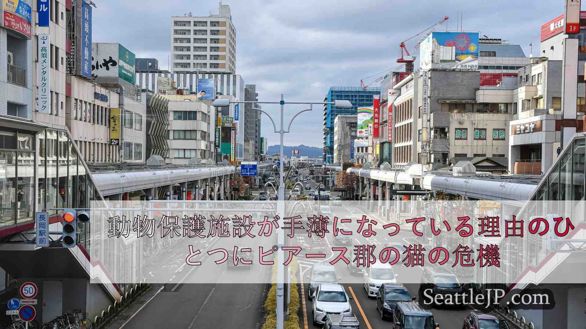 シアトルニュース SeattleJP