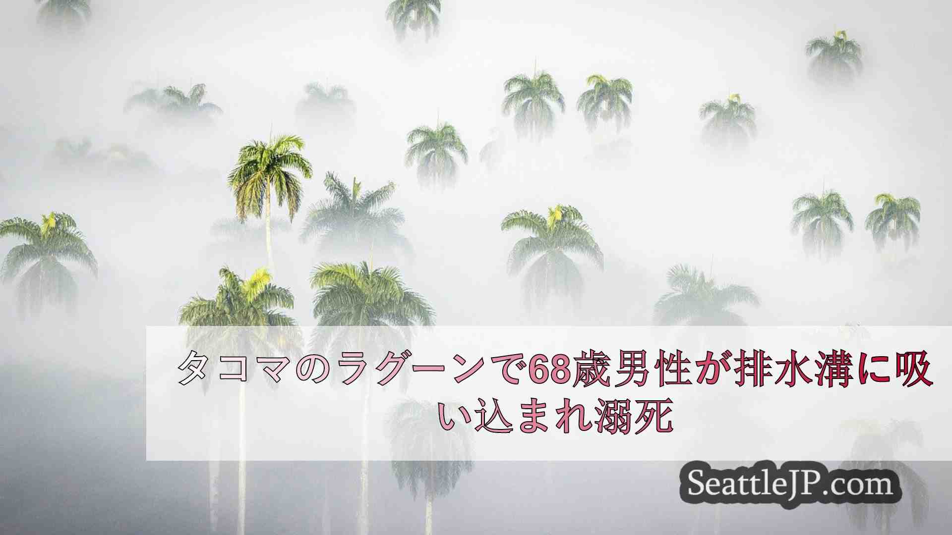 シアトルニュース SeattleJP