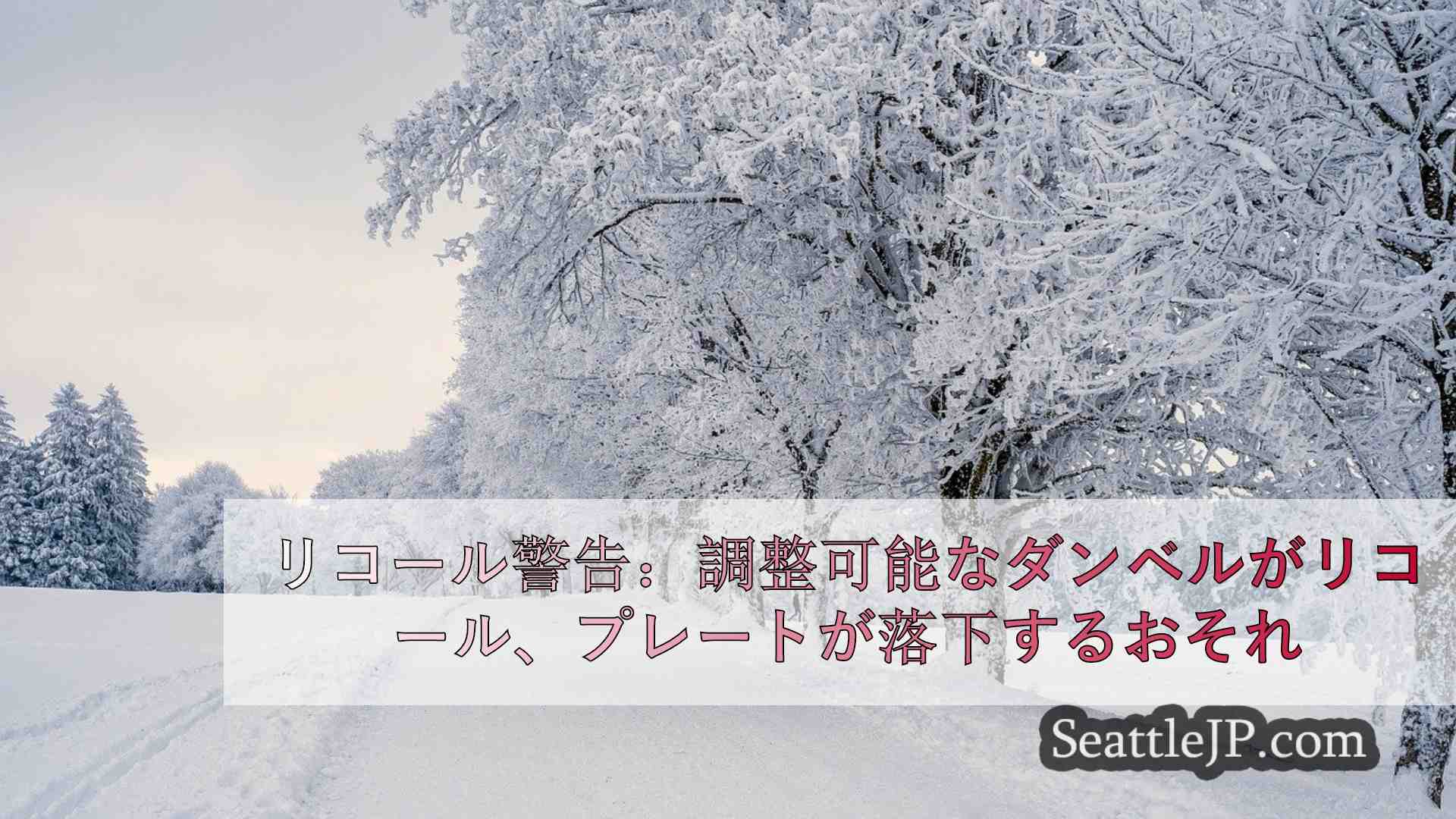 シアトルニュース SeattleJP