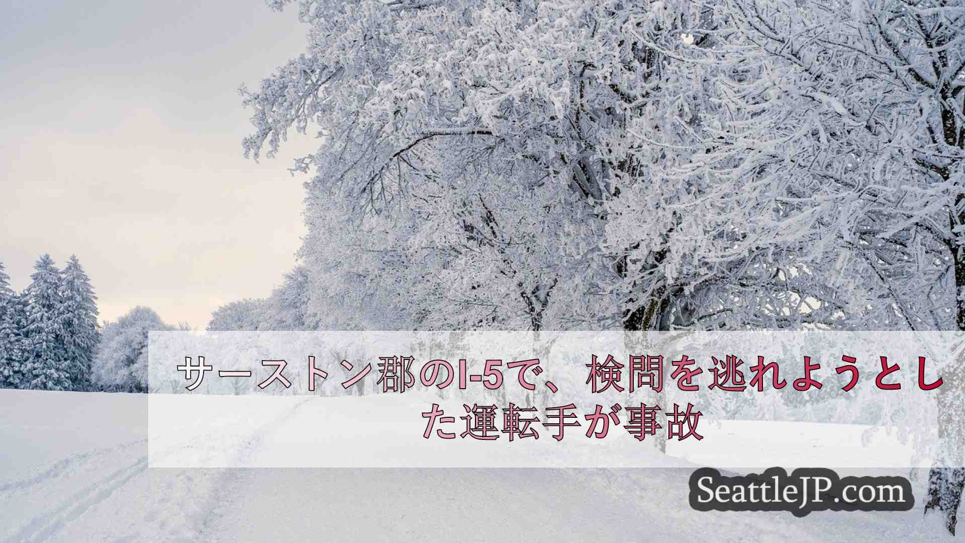 シアトルニュース SeattleJP