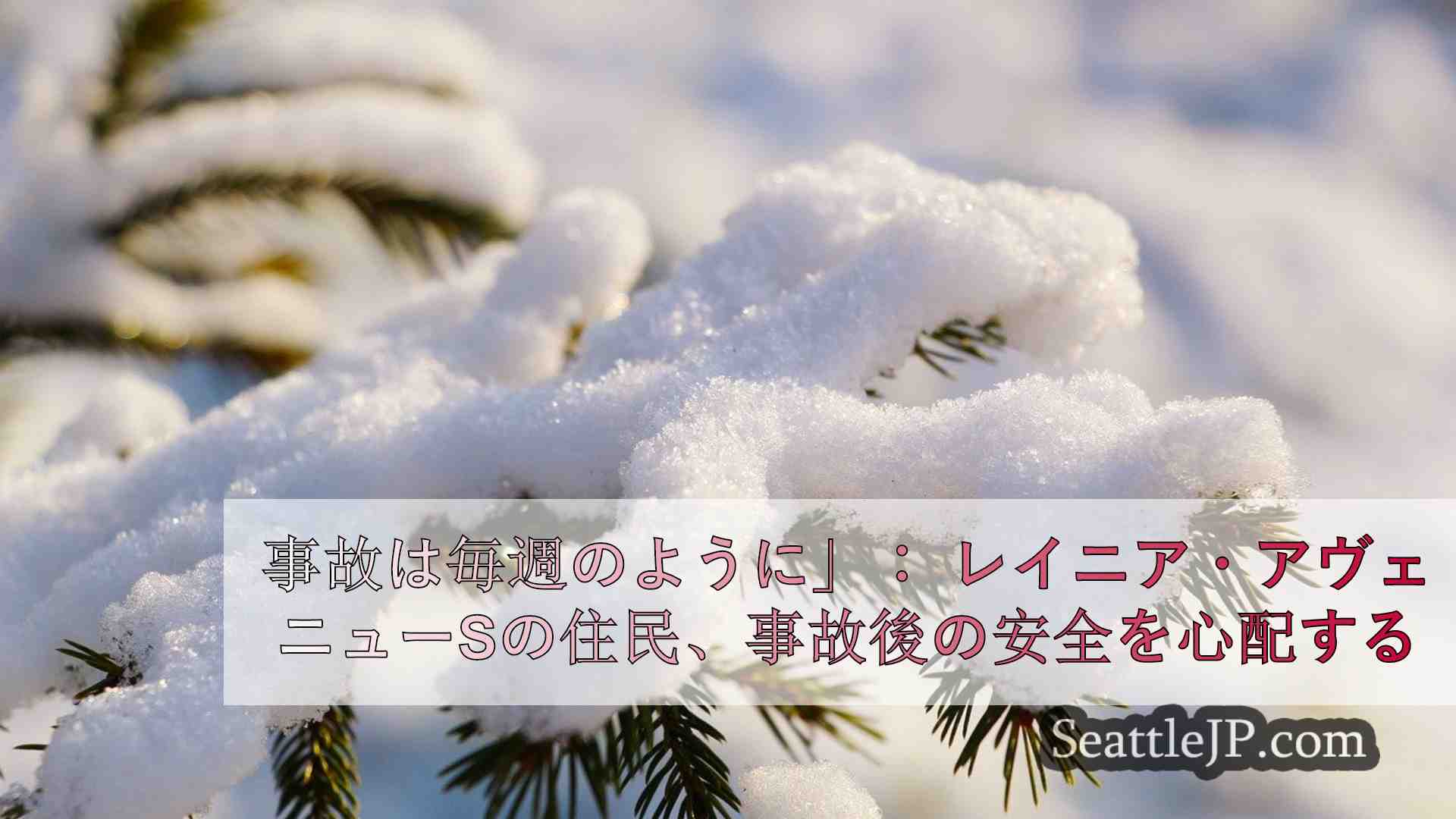 シアトルニュース SeattleJP