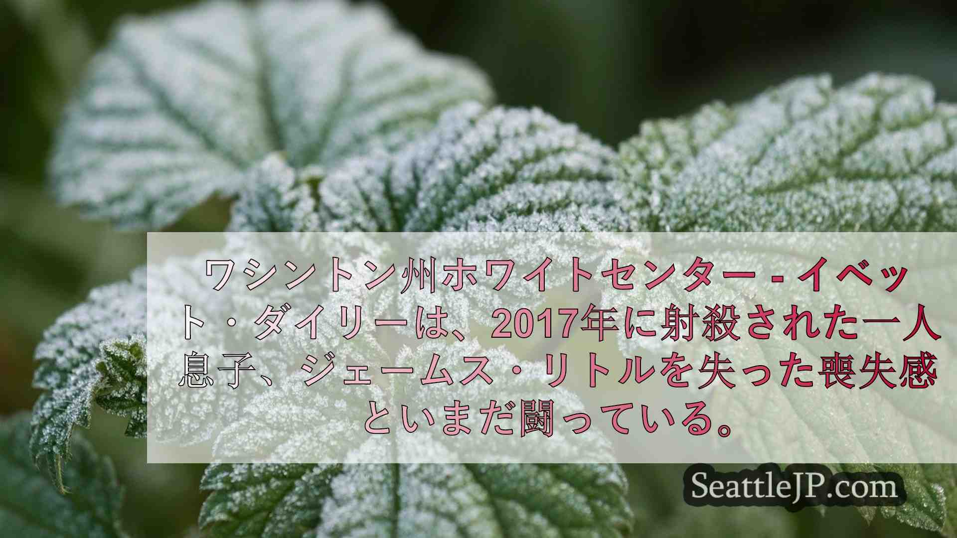 シアトルニュース SeattleJP
