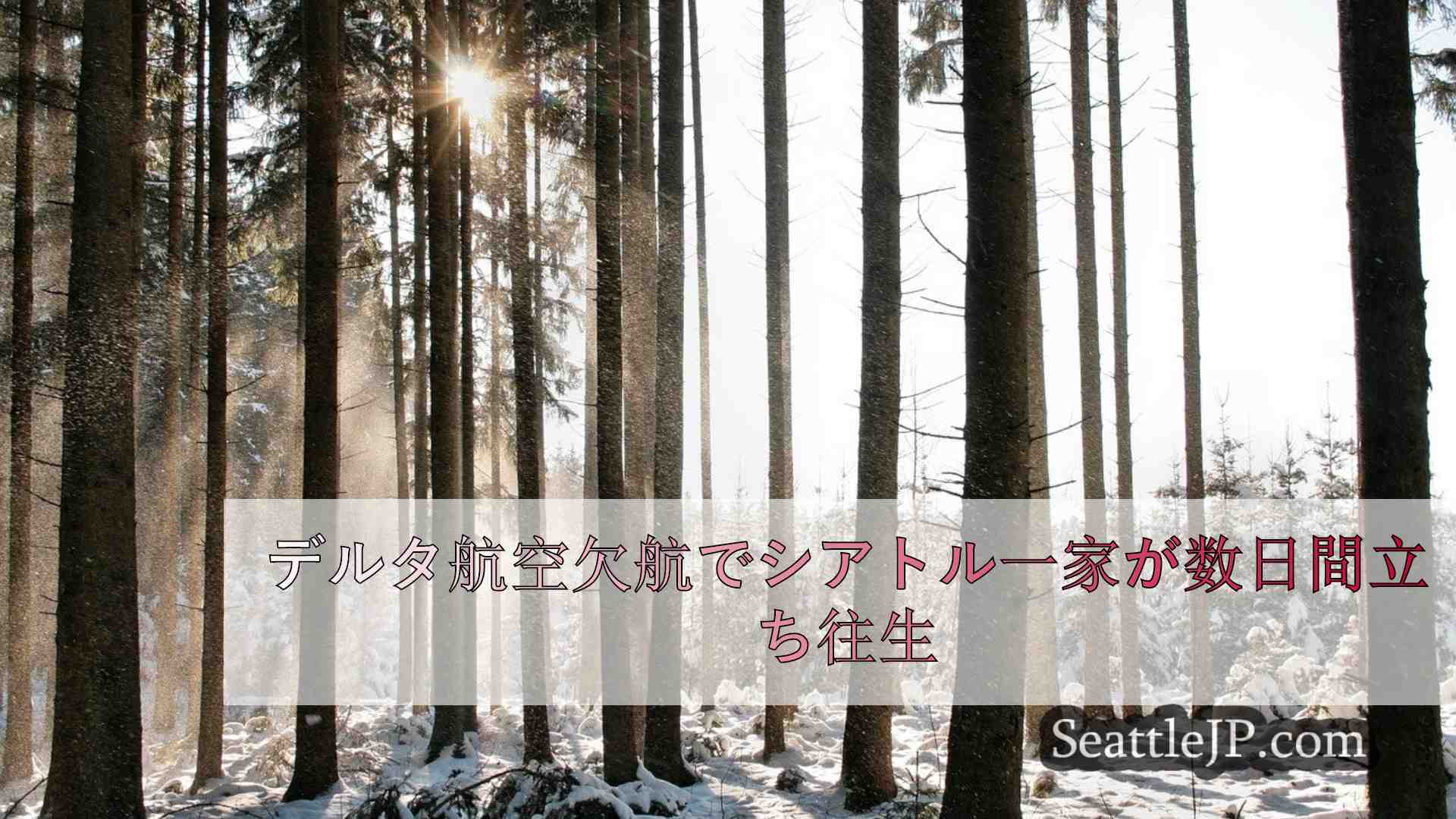 シアトルニュース SeattleJP