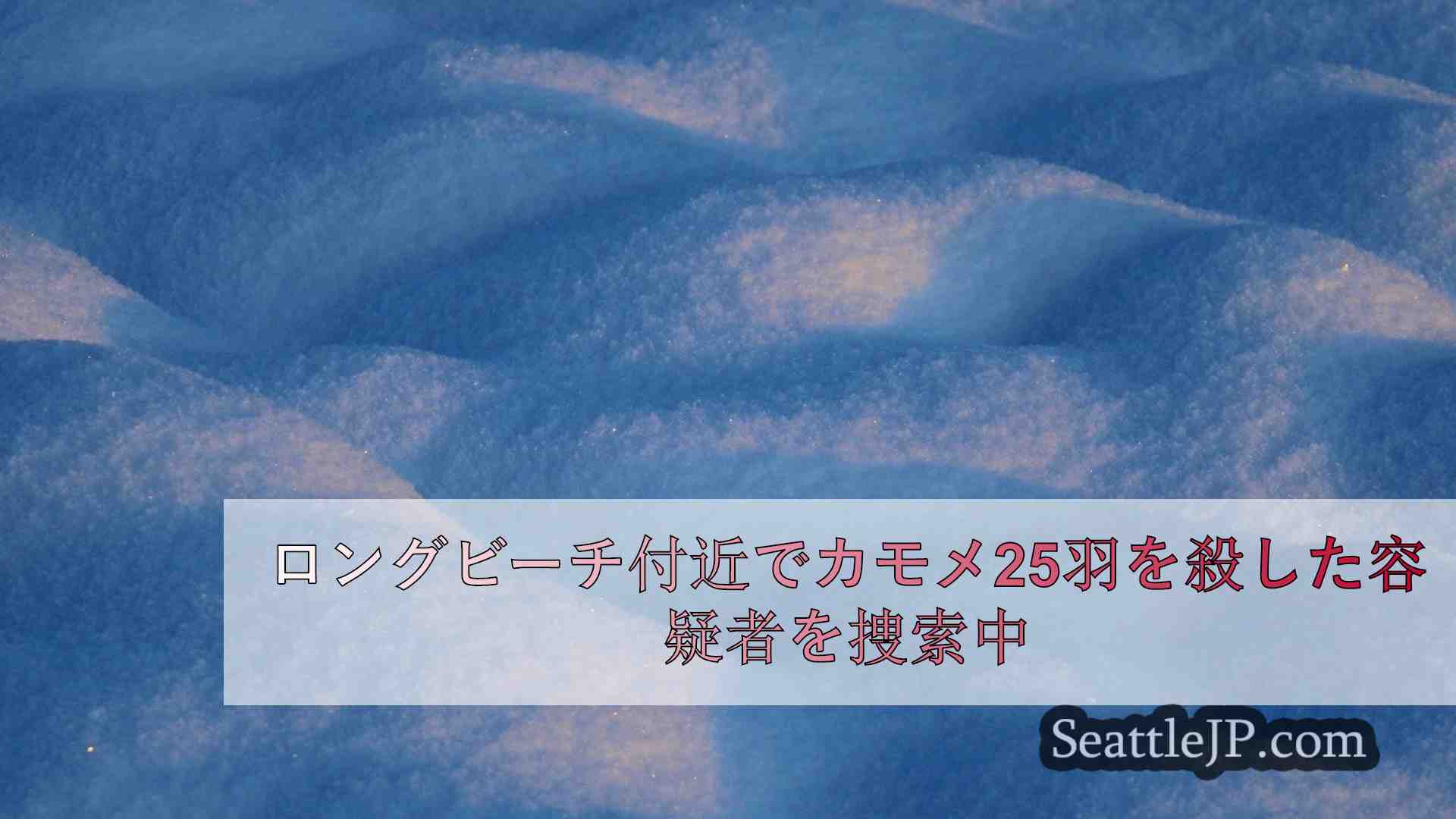 シアトルニュース SeattleJP