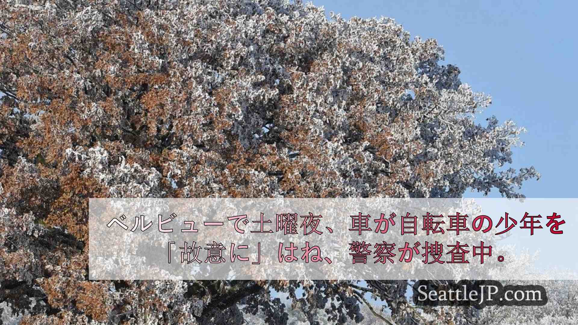 シアトルニュース SeattleJP
