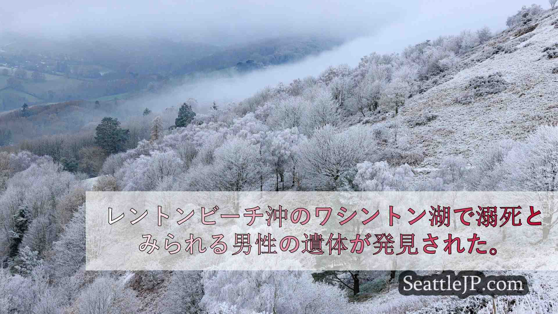 シアトルニュース SeattleJP