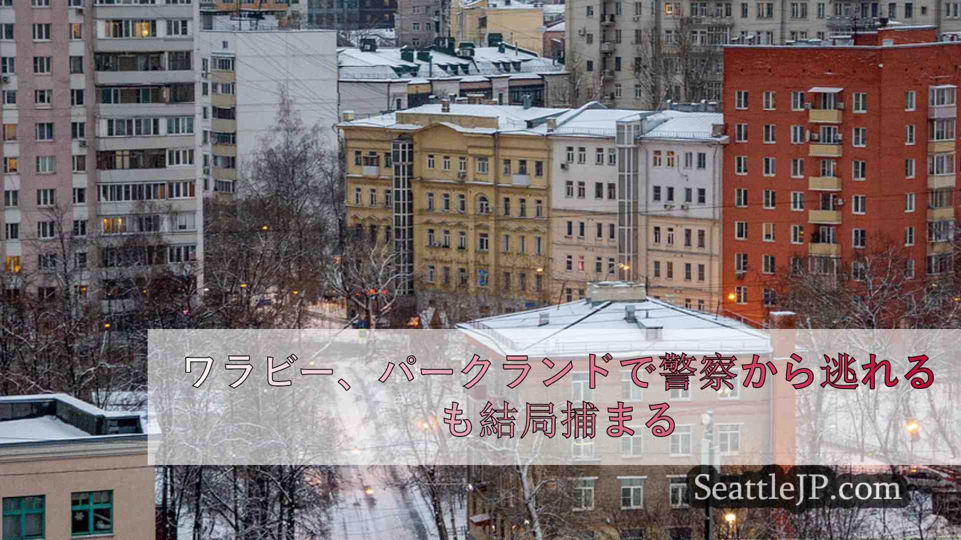 シアトルニュース SeattleJP