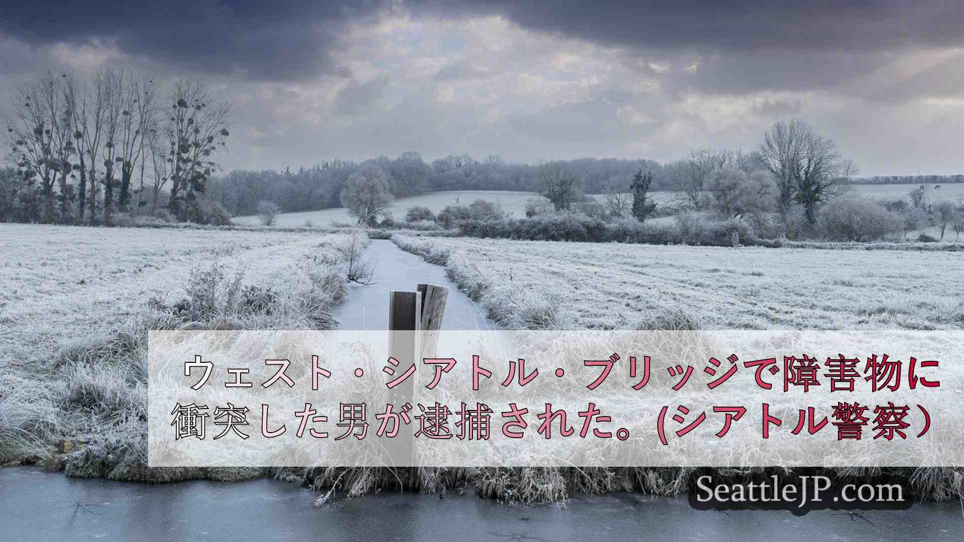 シアトルニュース SeattleJP