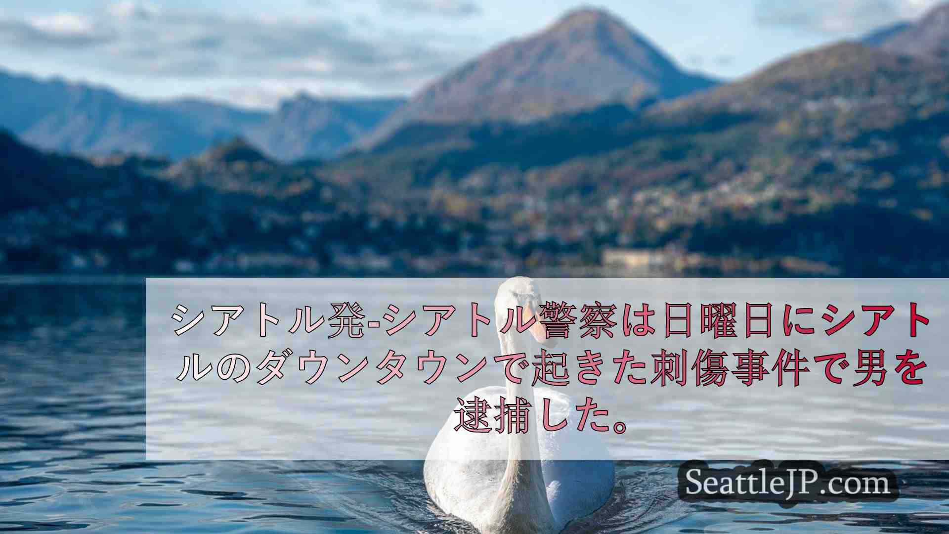 シアトルニュース SeattleJP