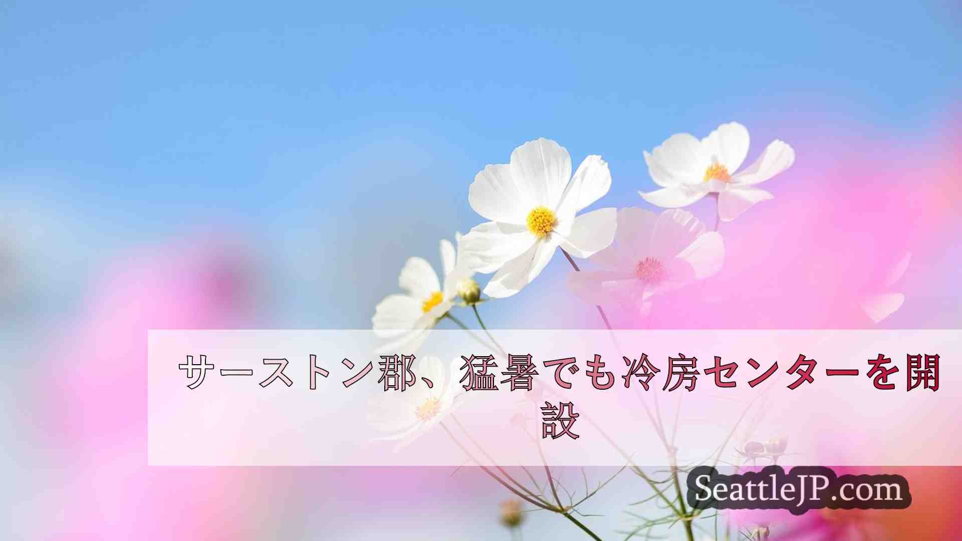 シアトルニュース SeattleJP