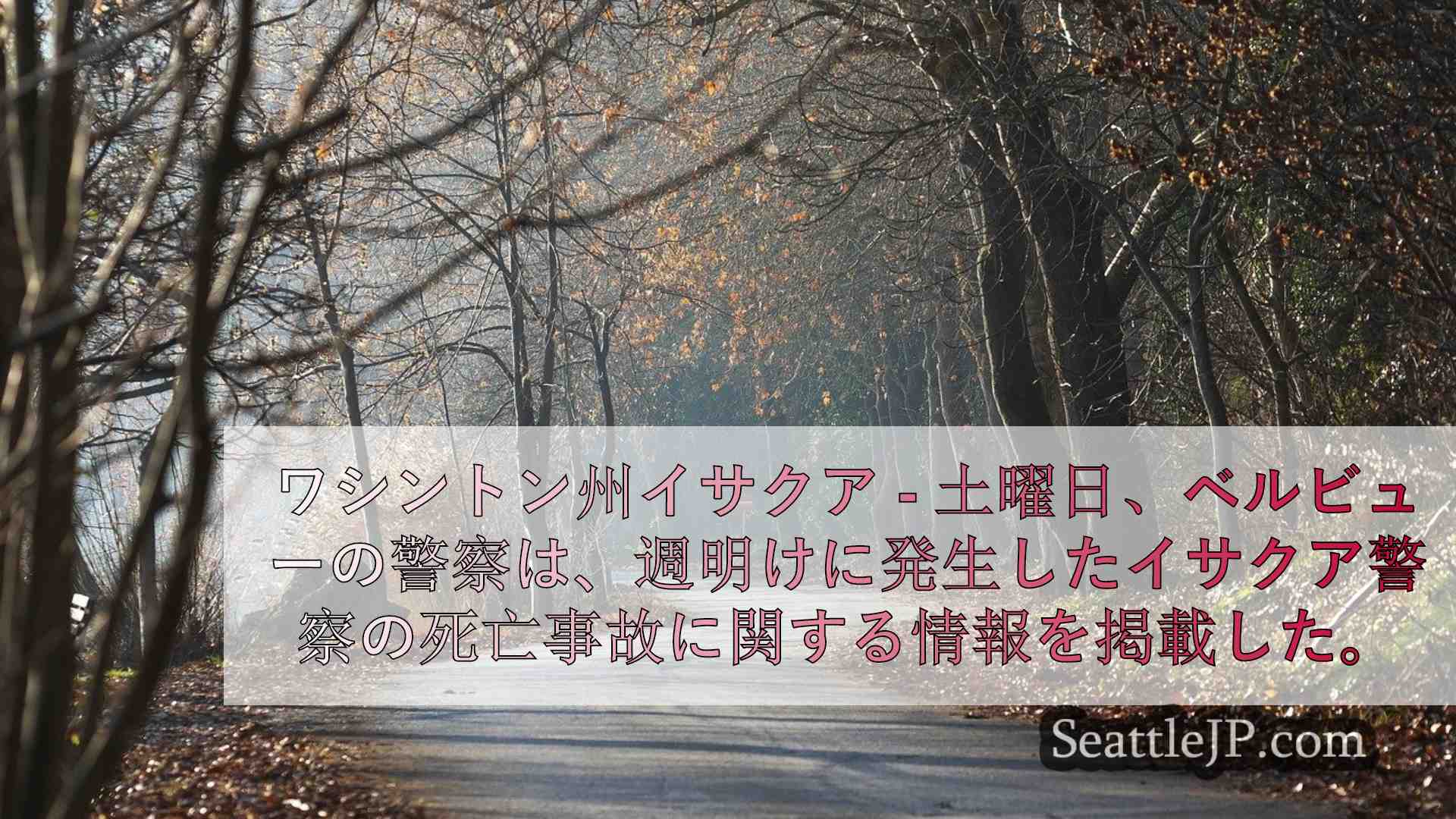 アイサカー警察による追跡、衝突事故で女性死亡
