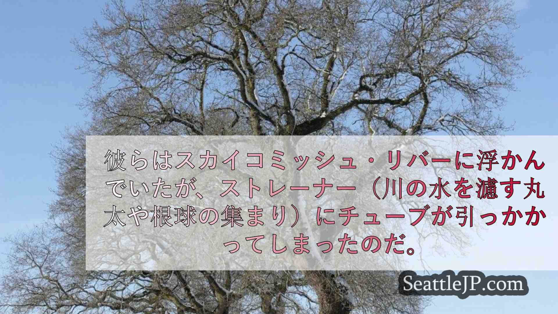 シアトルニュース SeattleJP