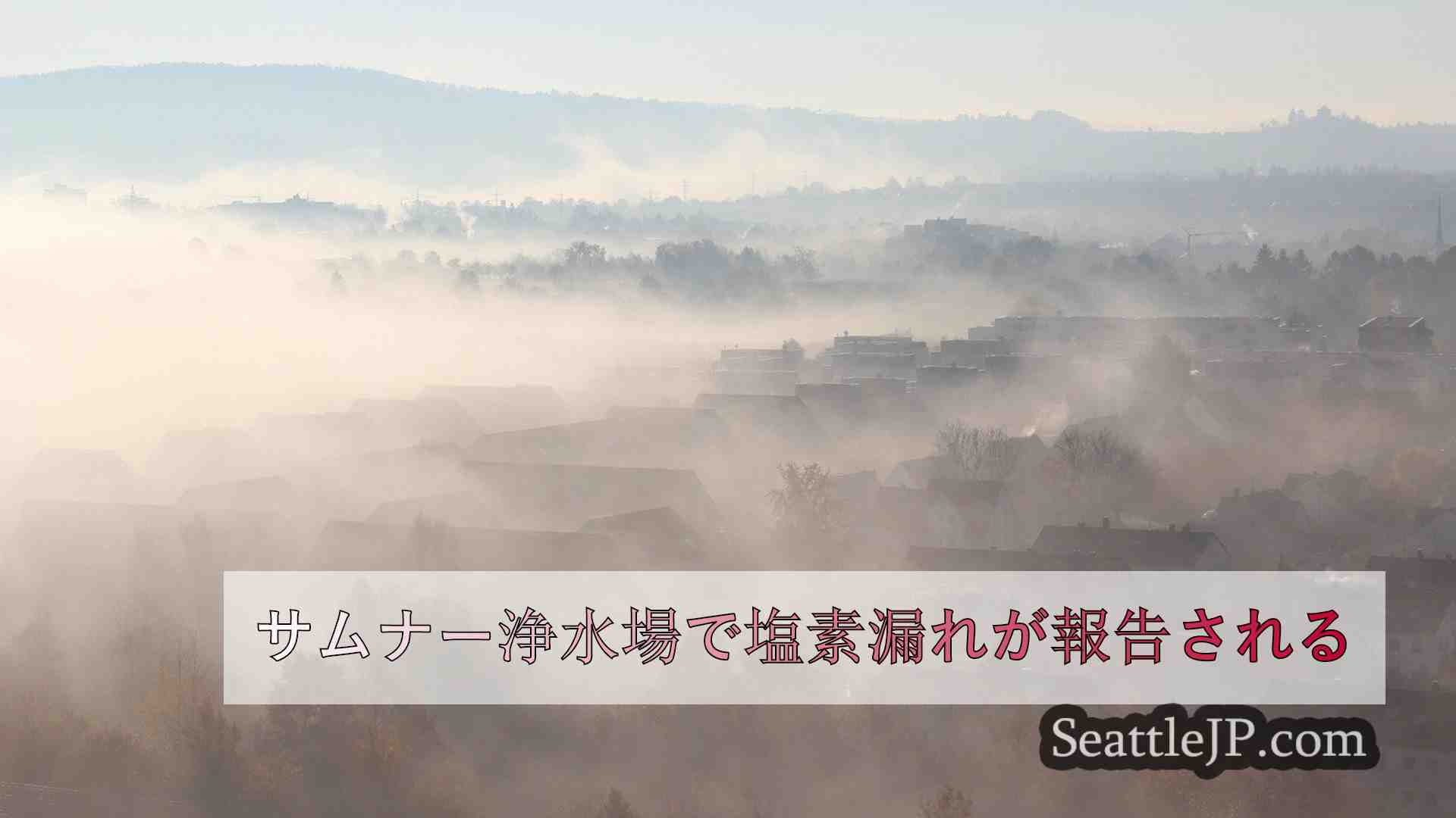 シアトルニュース SeattleJP