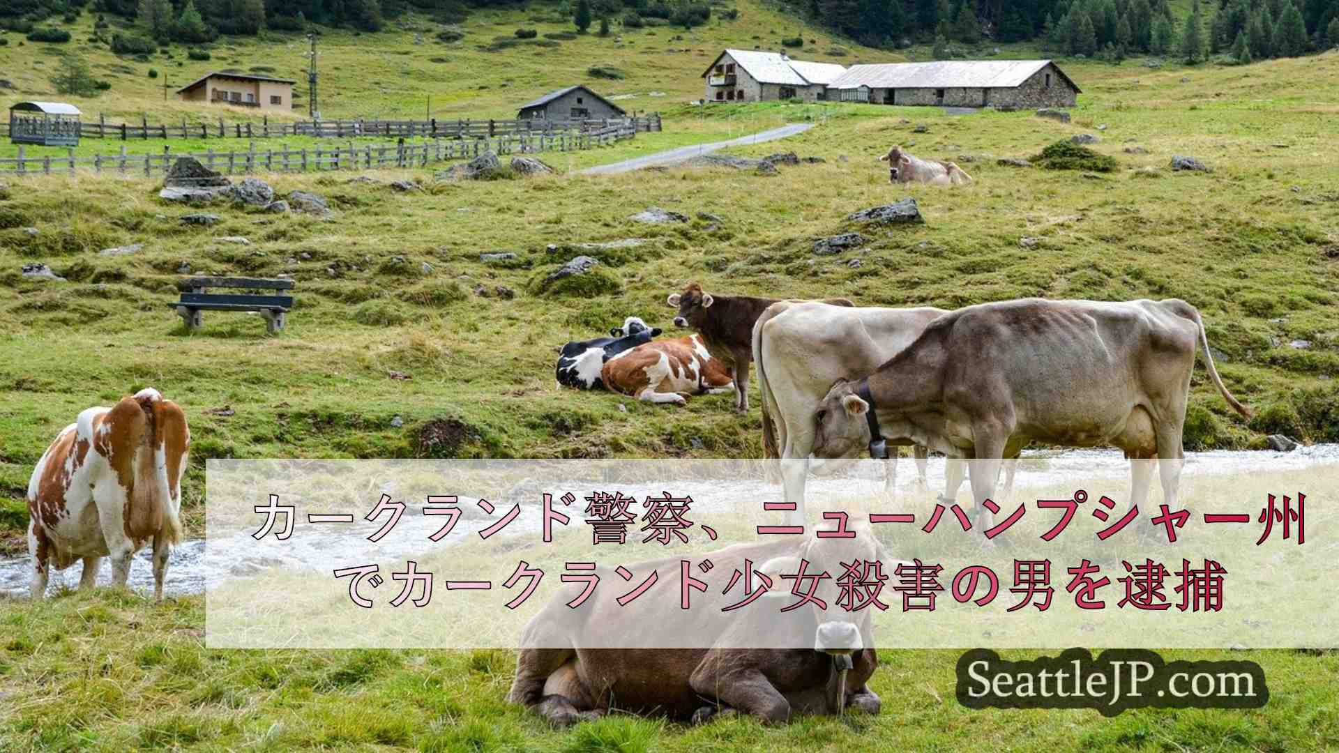 シアトルニュース SeattleJP