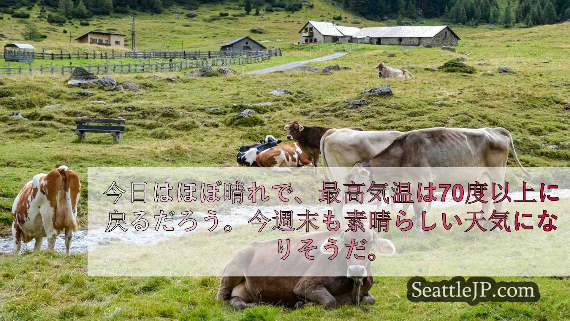 シアトルニュース SeattleJP