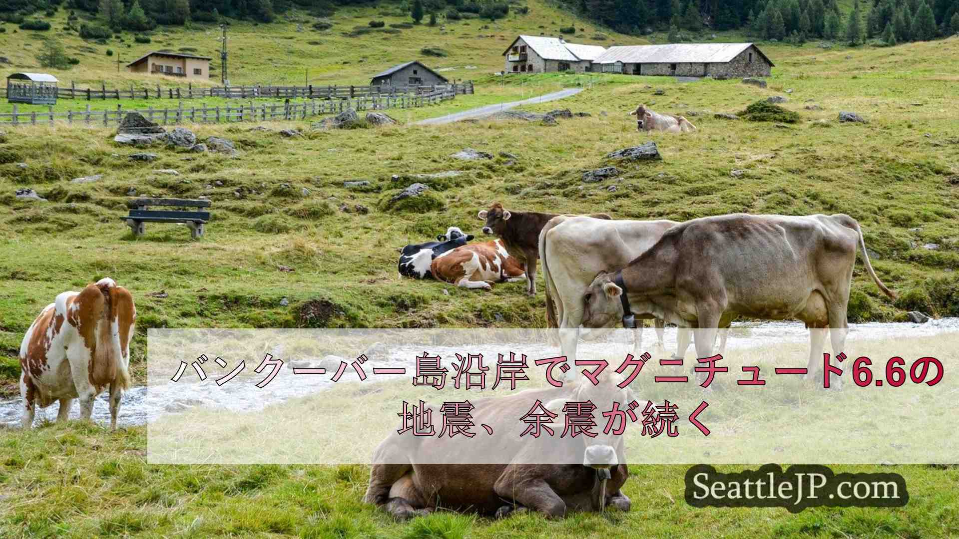 シアトルニュース SeattleJP