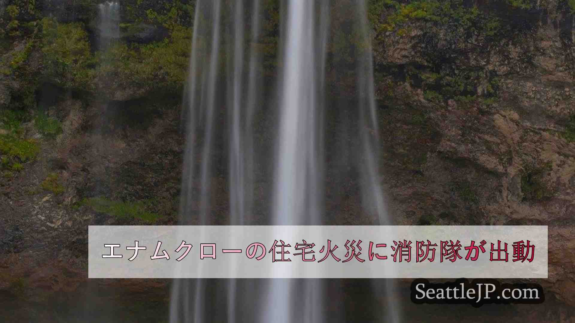 シアトルニュース SeattleJP