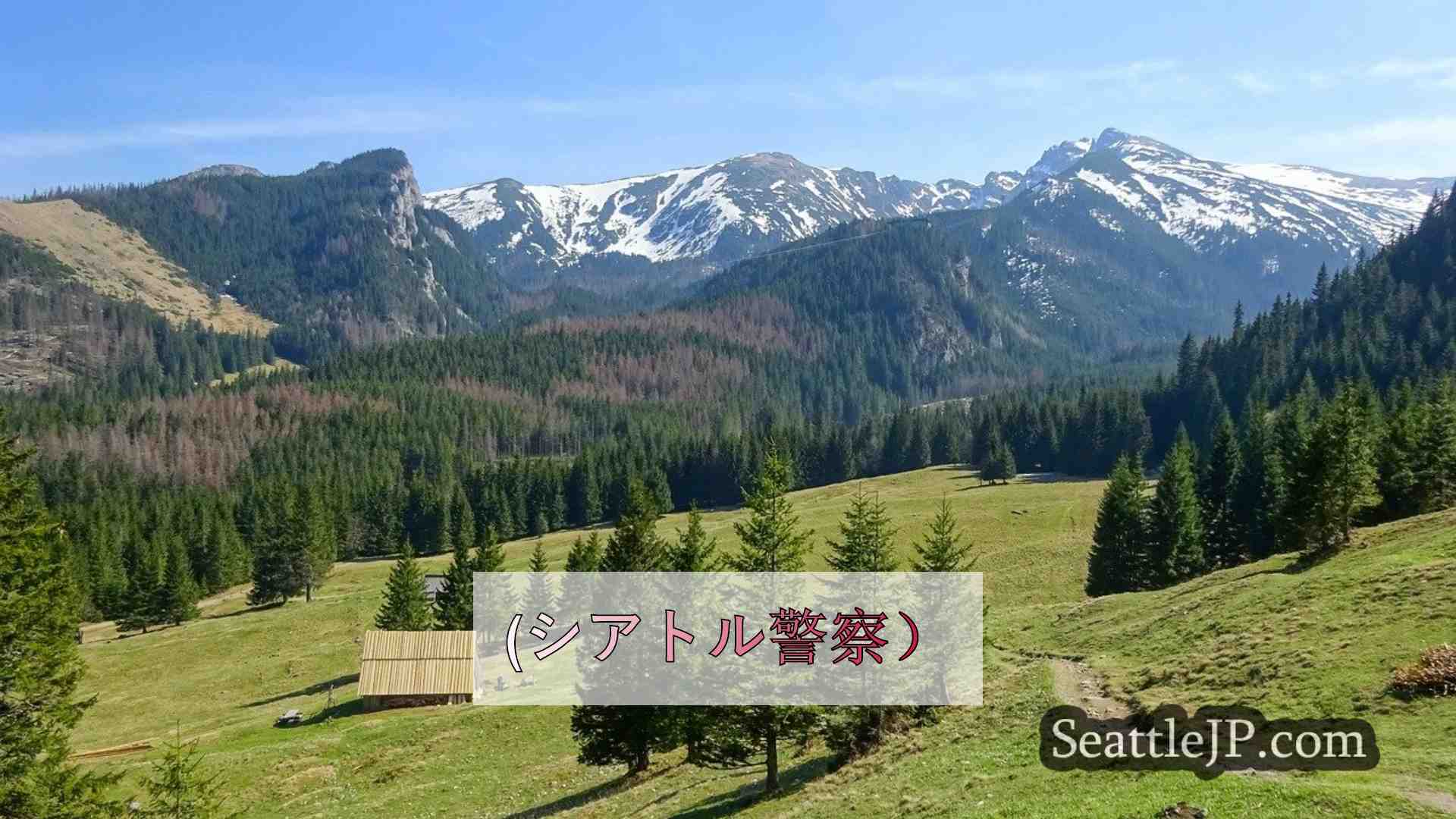 シアトルニュース SeattleJP