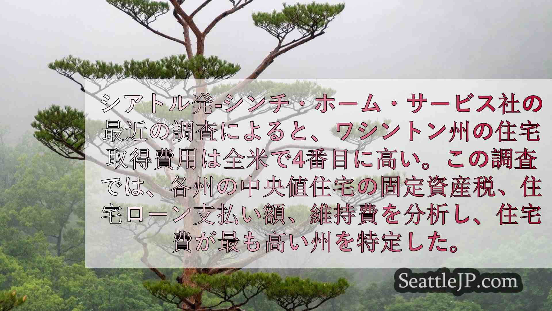 シアトルニュース SeattleJP