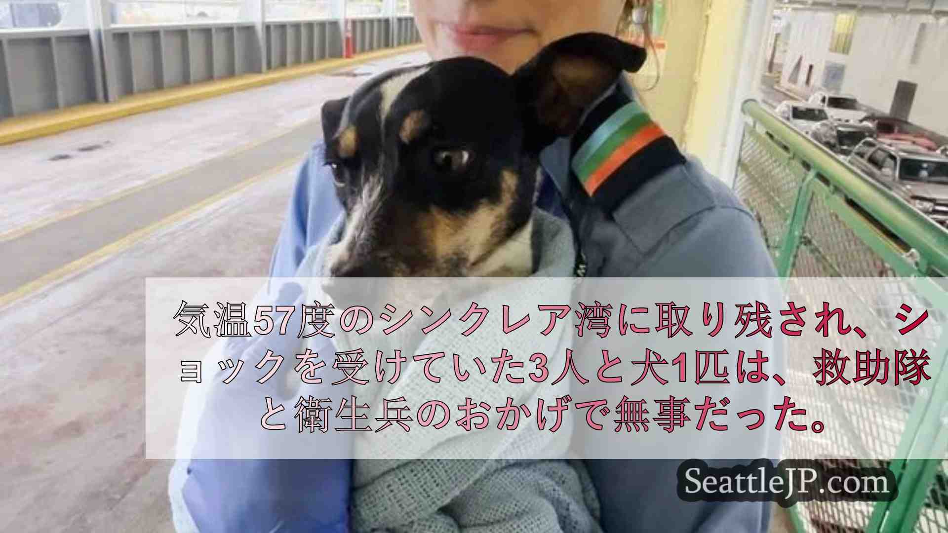 シアトルニュース SeattleJP