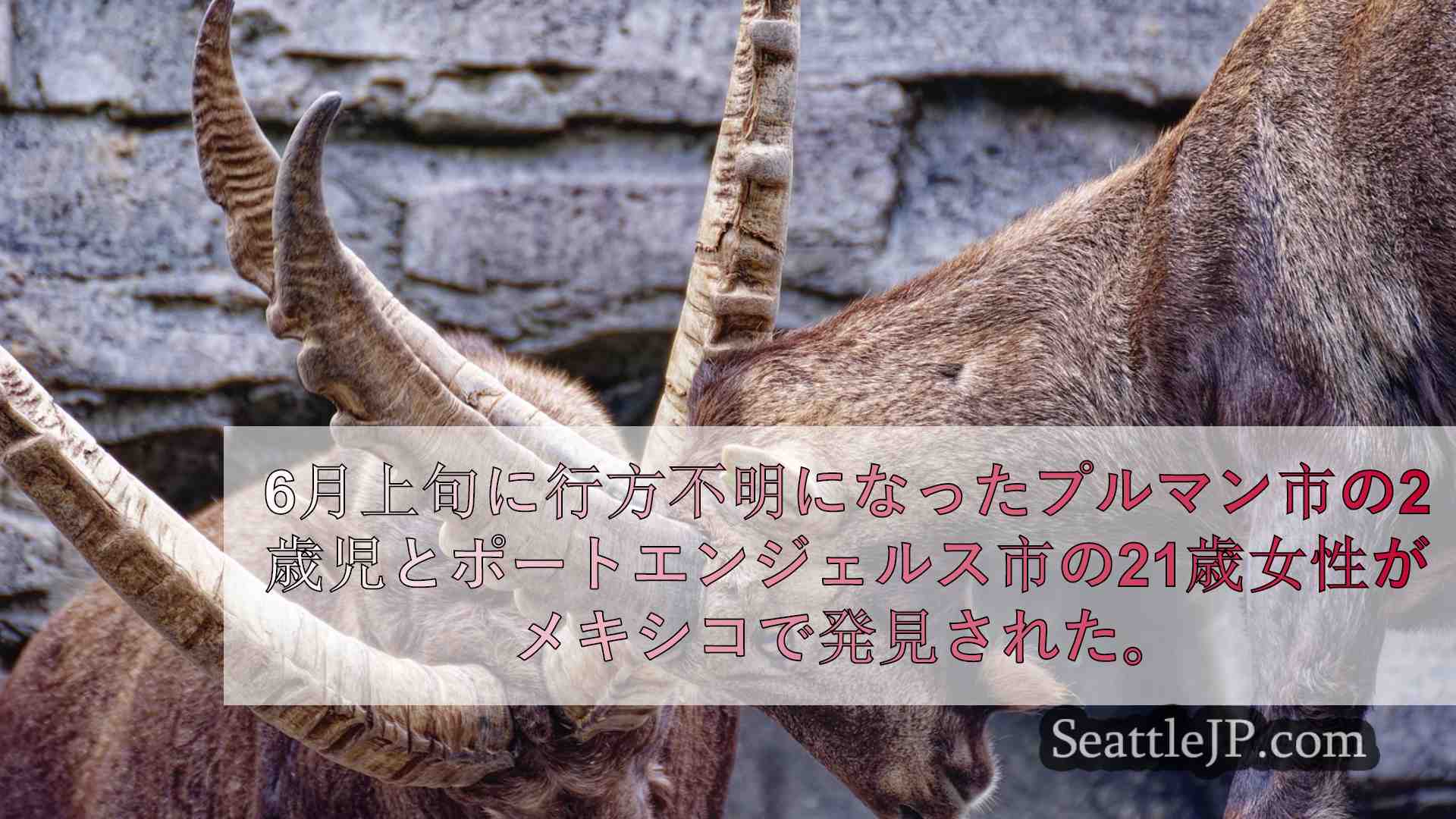 シアトルニュース SeattleJP