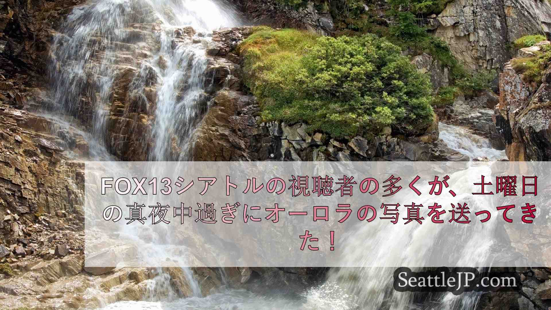 シアトルニュース SeattleJP