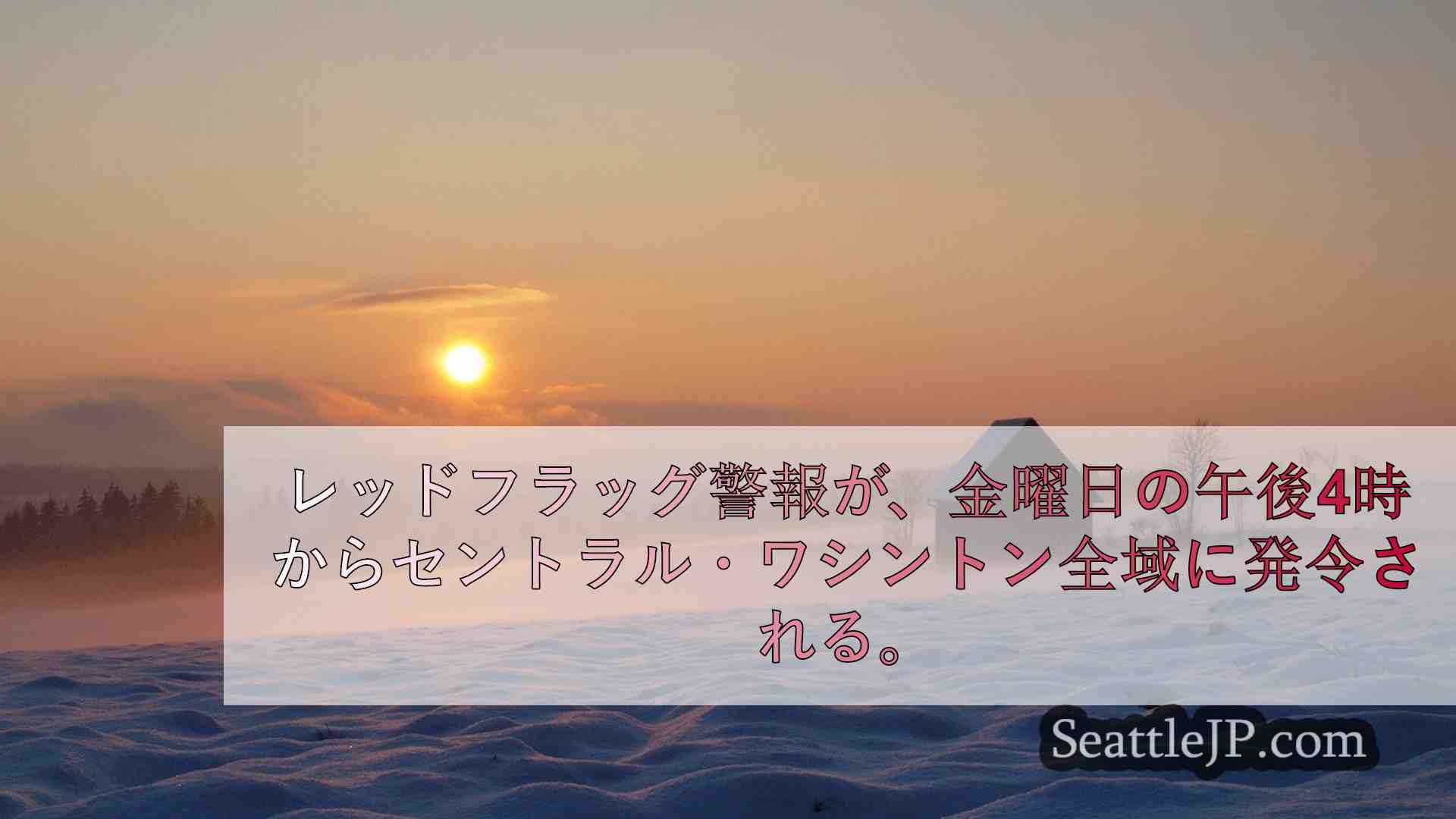 シアトルニュース SeattleJP