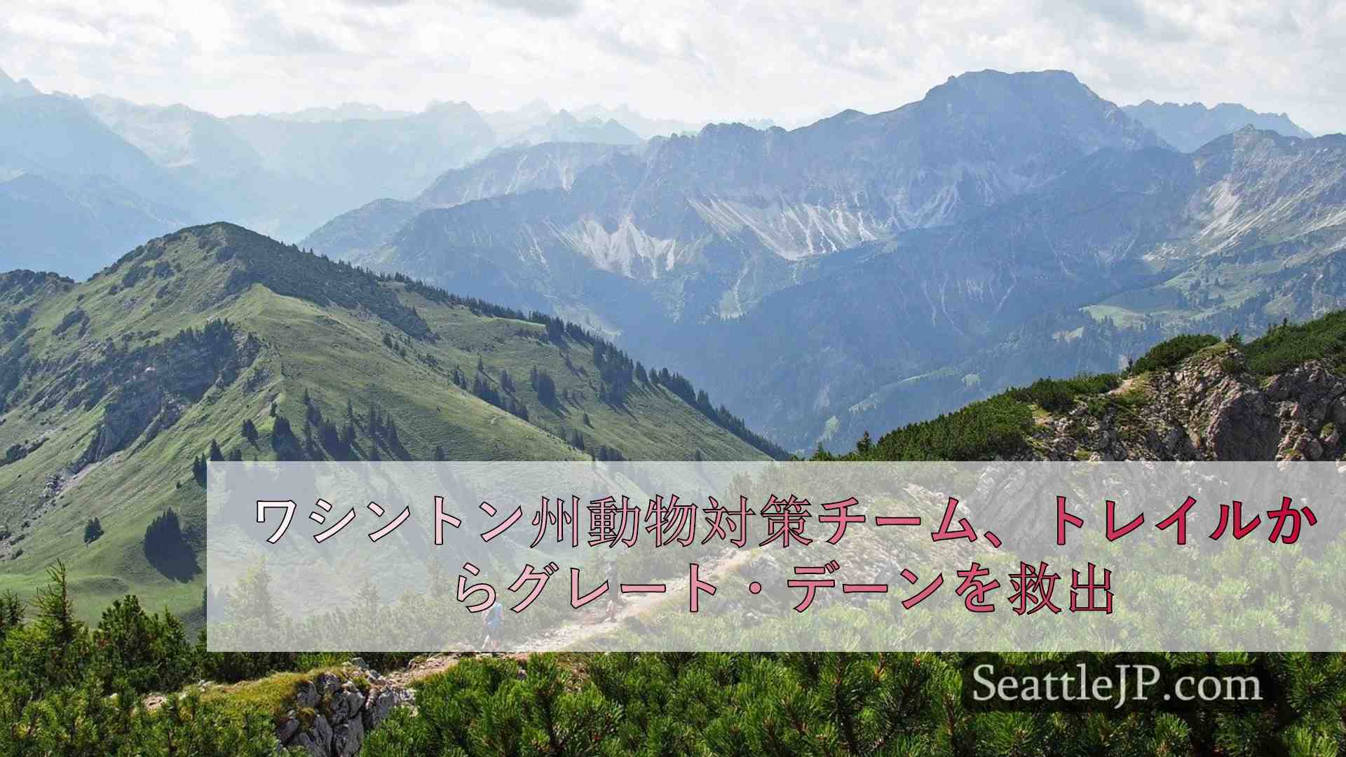 シアトルニュース SeattleJP