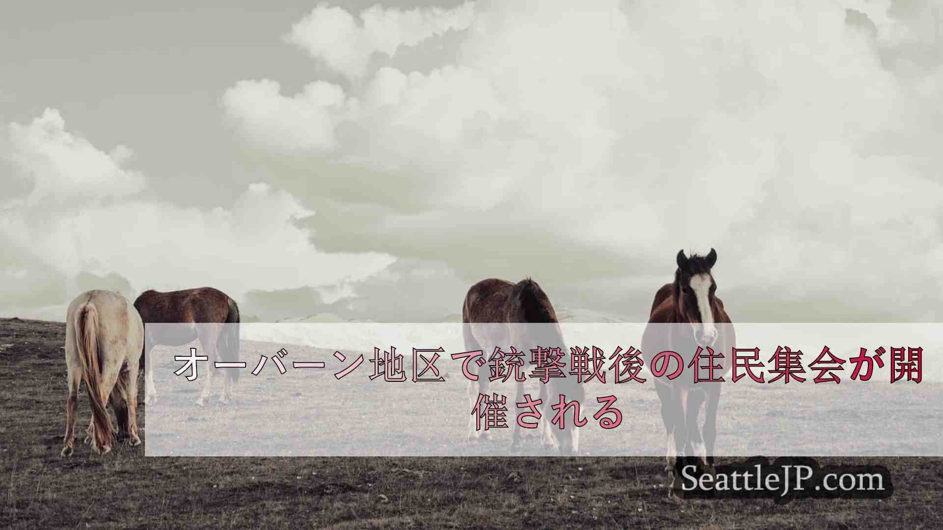 シアトルニュース SeattleJP