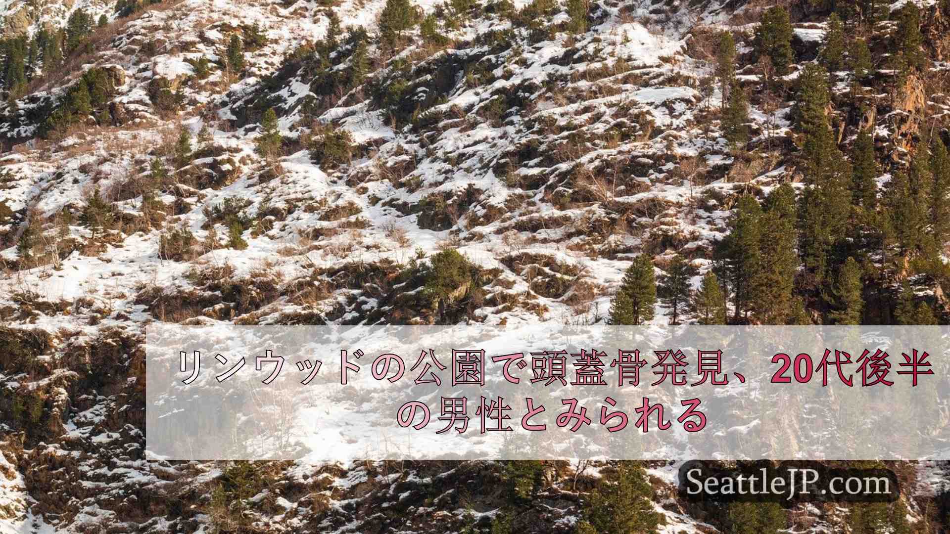 シアトルニュース SeattleJP