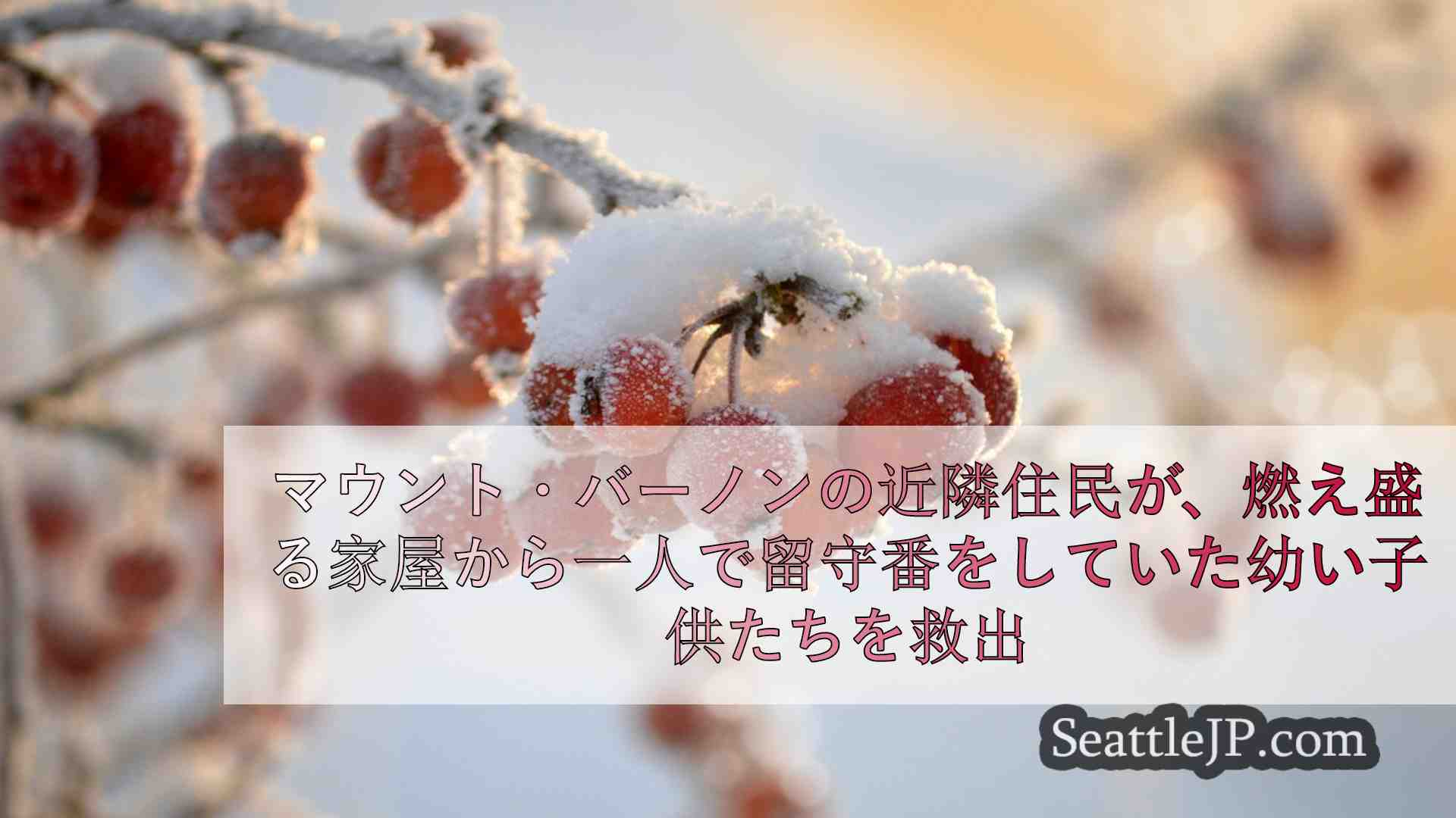 シアトルニュース SeattleJP
