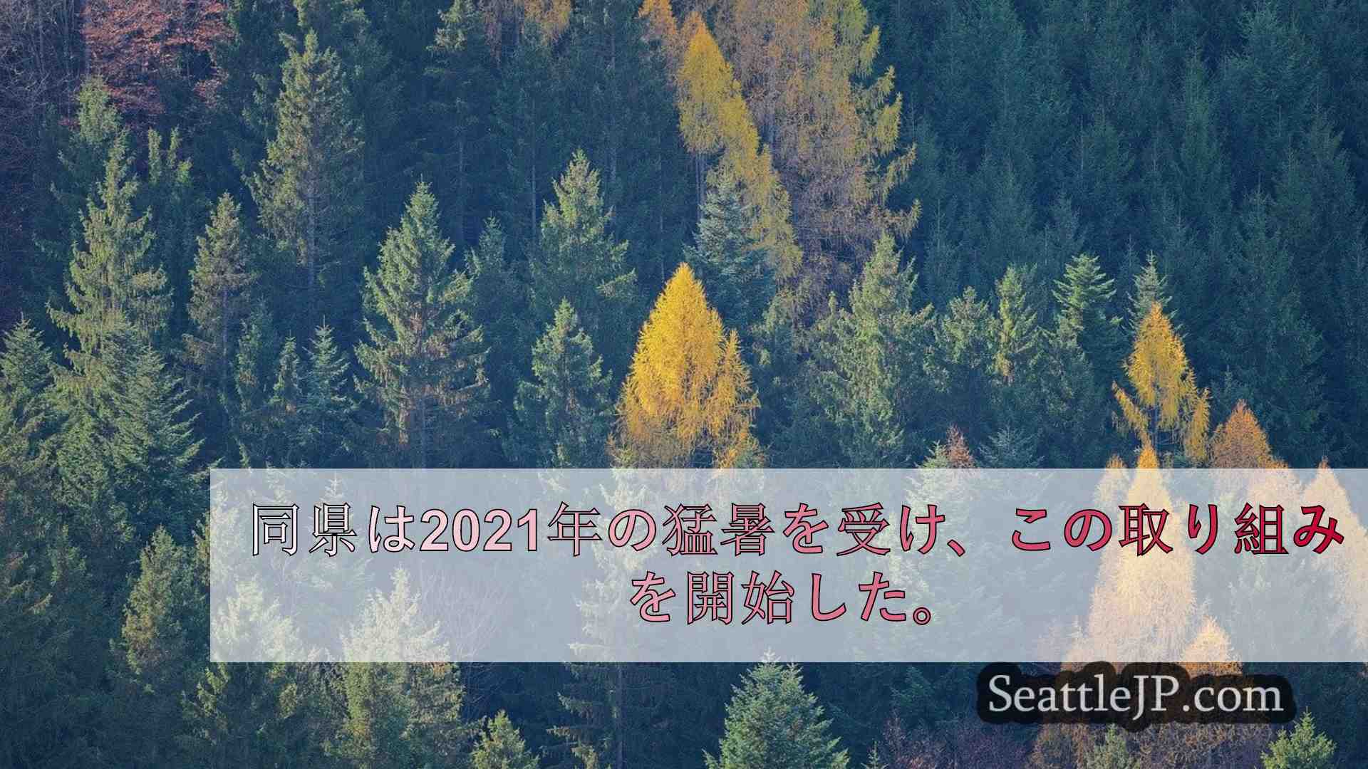 シアトルニュース SeattleJP