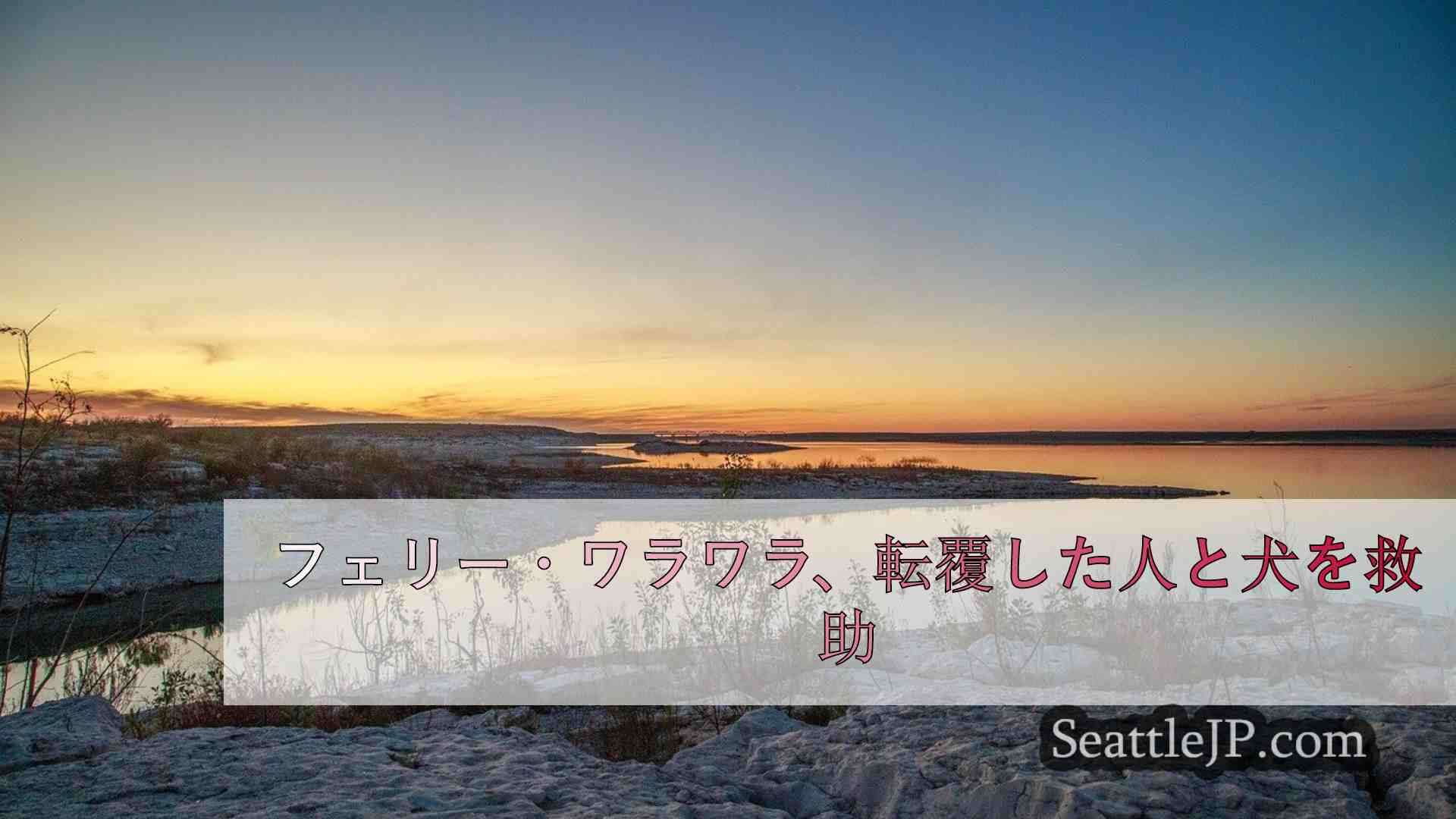 シアトルニュース SeattleJP