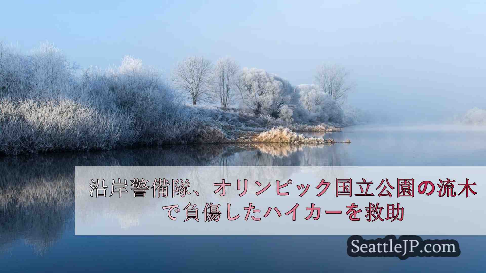 シアトルニュース SeattleJP