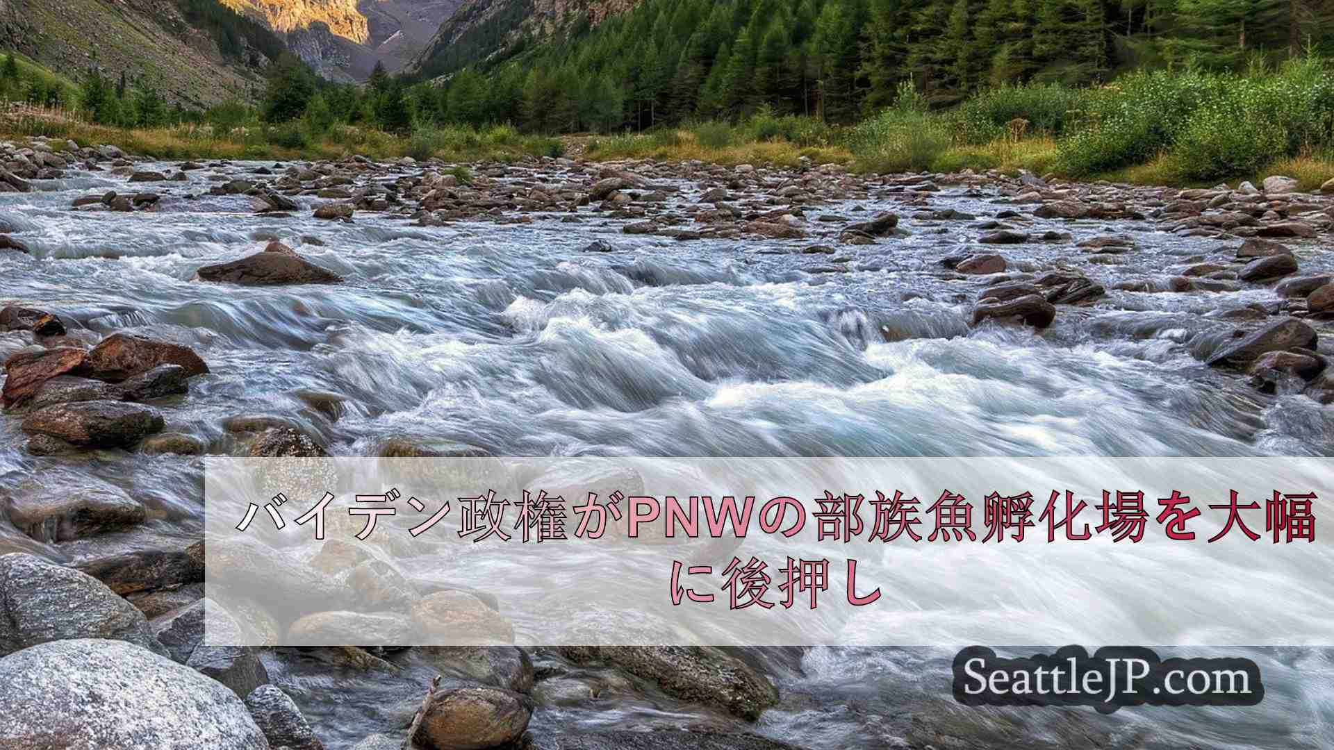 シアトルニュース SeattleJP