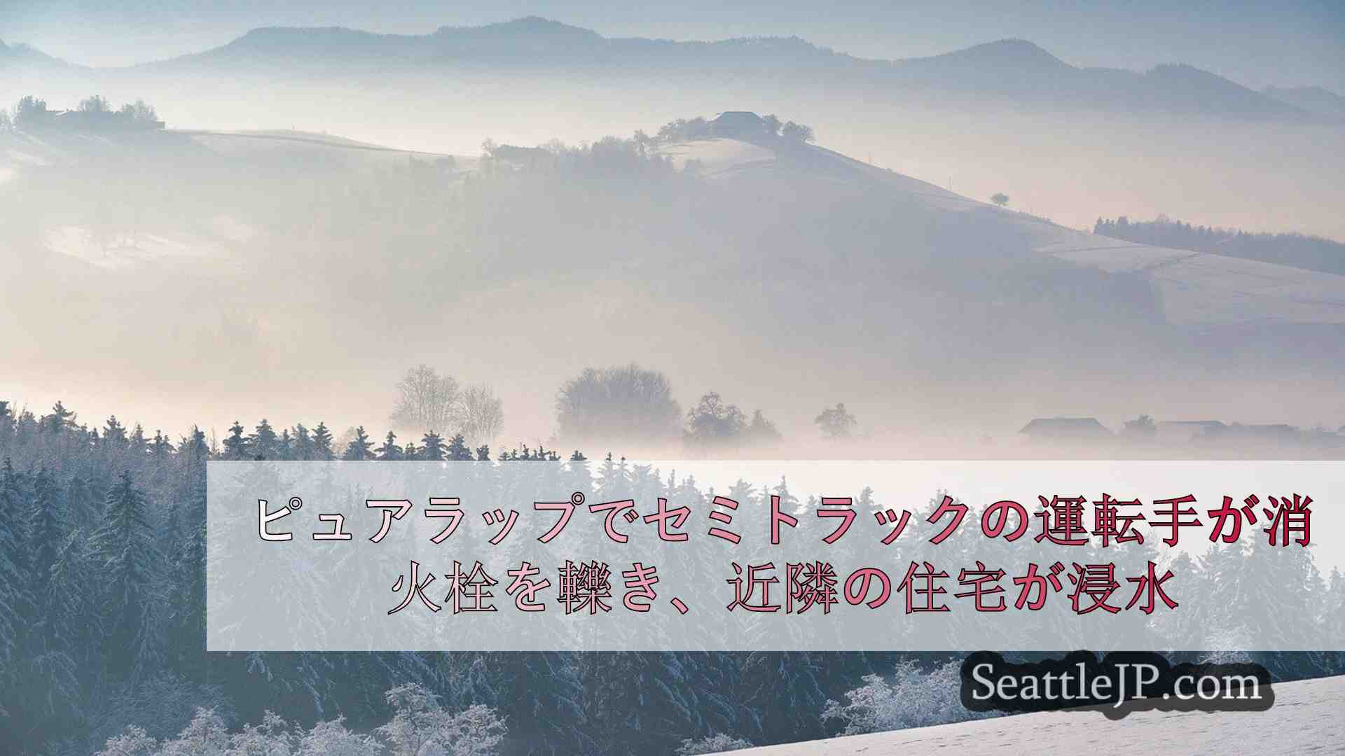 シアトルニュース SeattleJP