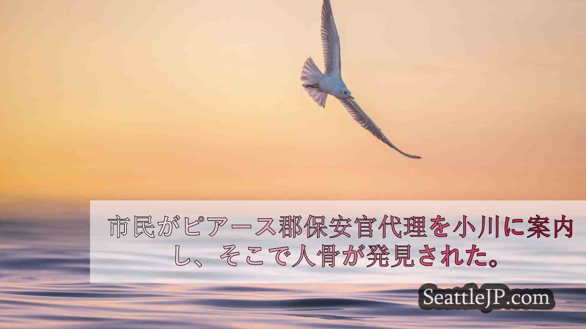 シアトルニュース SeattleJP